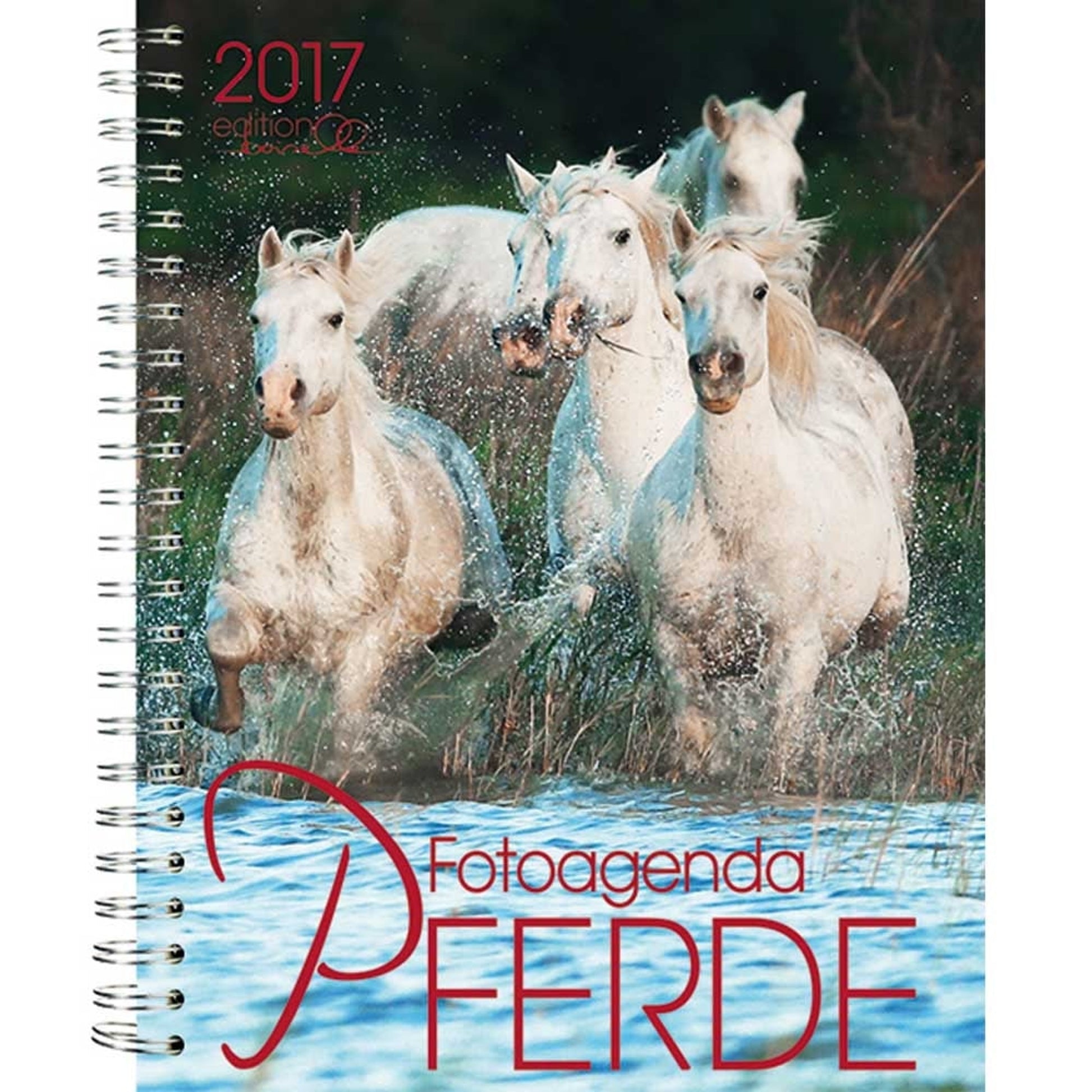 Boiselle Agenda/Diary Horse Calendar - 2017