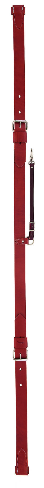 5-876037-chestnut.jpg