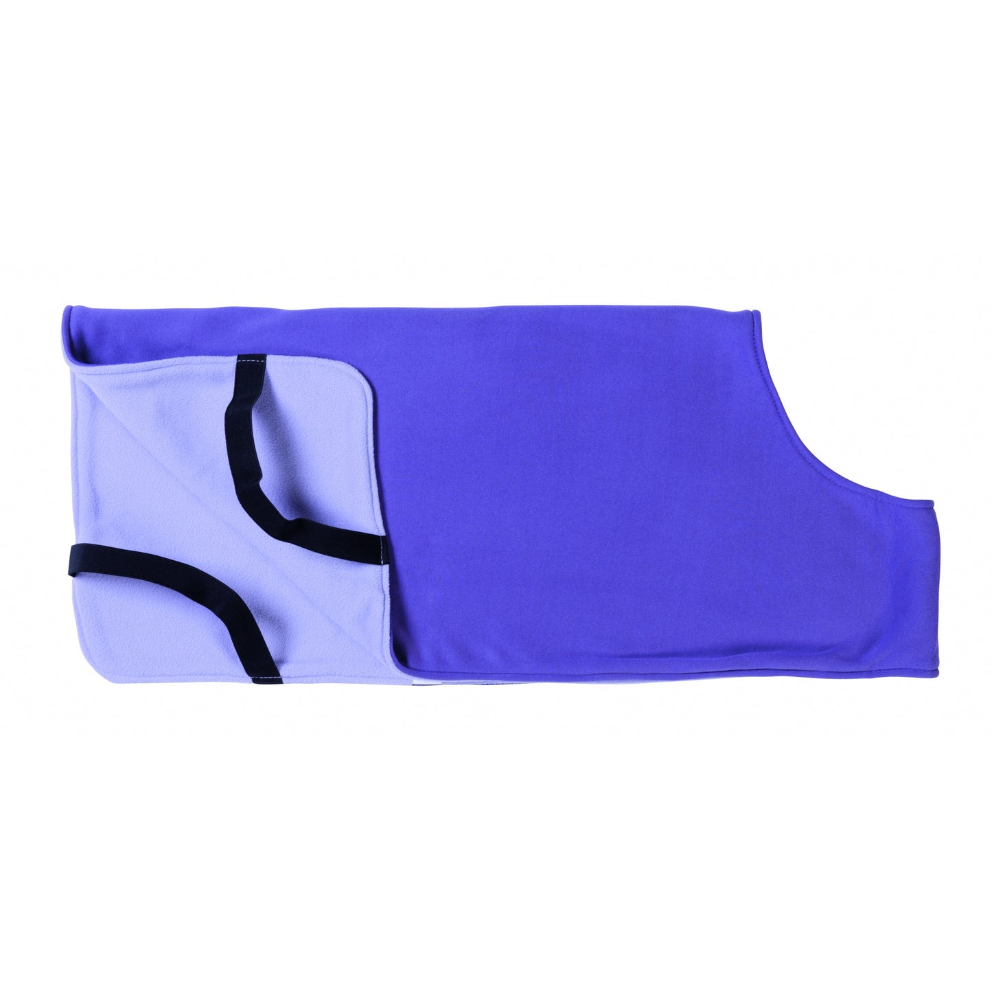 5-876917-purple.jpg
