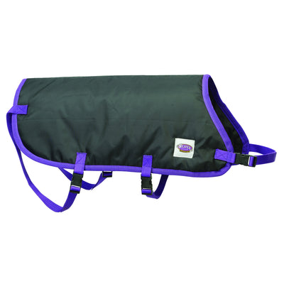 5-876918-blackpurple.jpg