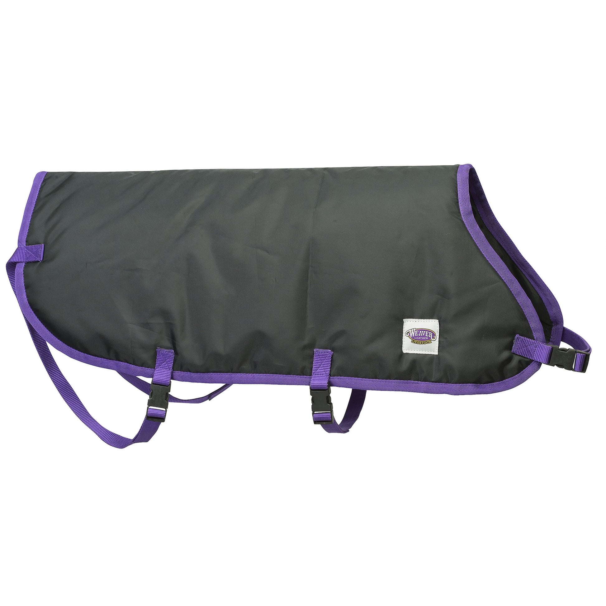 5-876919-blackpurple.jpg