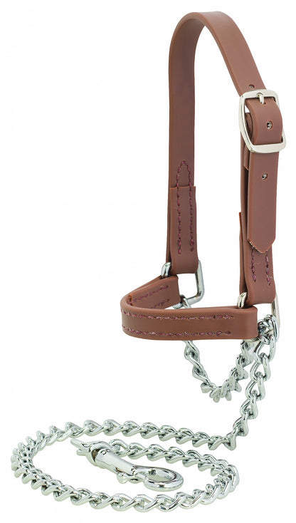 Weaver Sheep and Goat Brahma Webb Halter