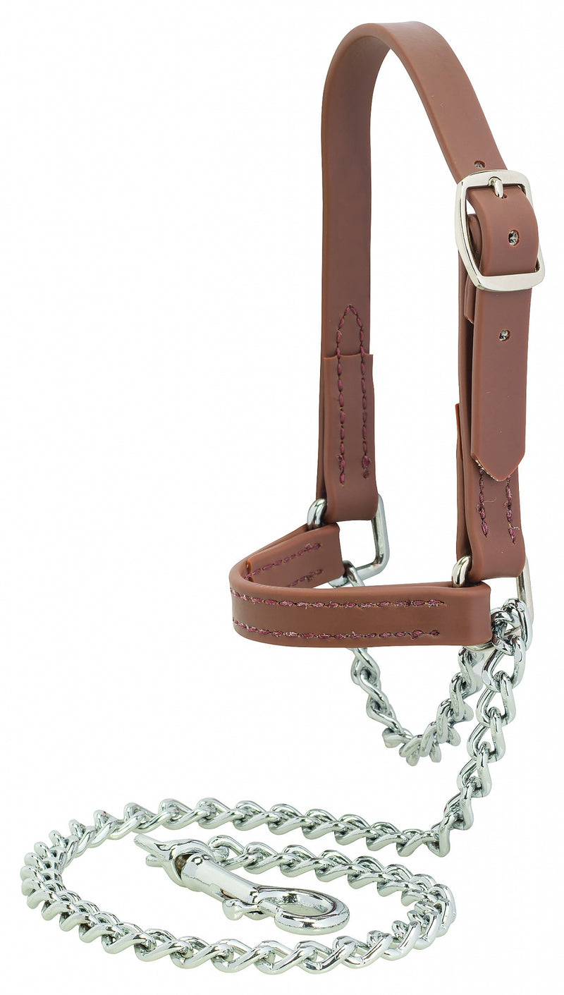 Weaver Sheep and Goat Brahma Webb Halter