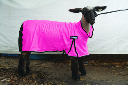5-876955-hotpink.jpg