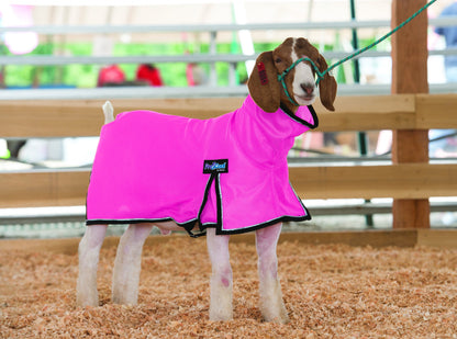 5-876965-hotpink.jpg