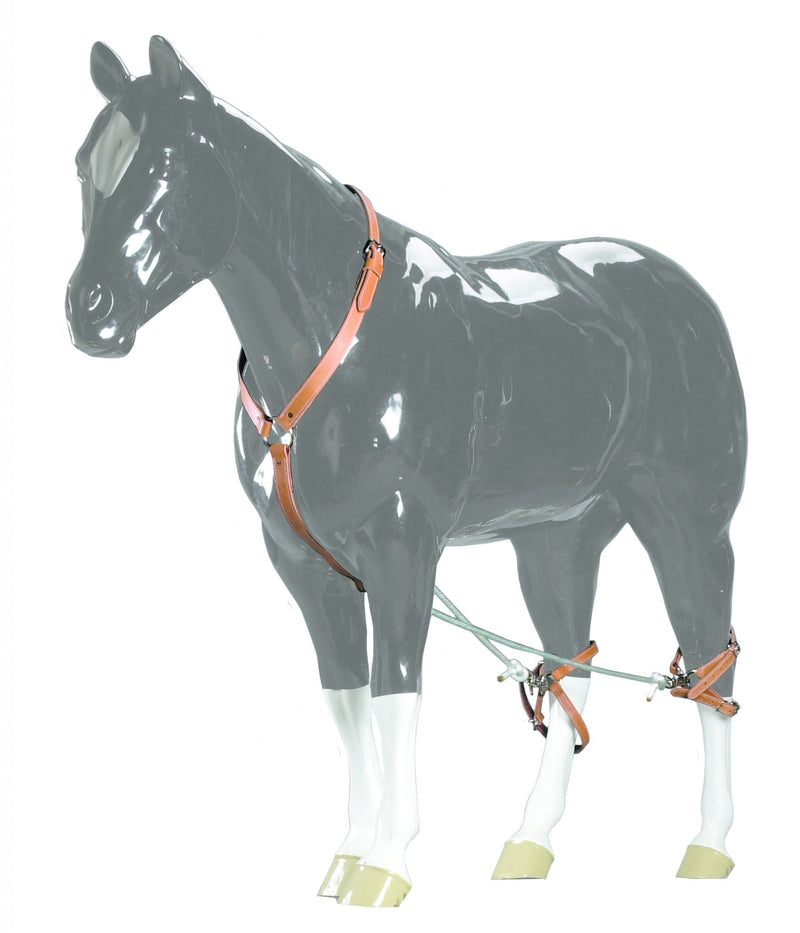 Colorado Saddlery Breeding Hobbles