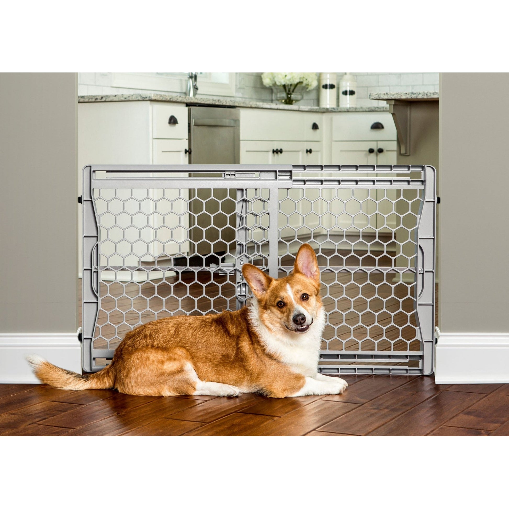 Carlson Pet Expandable Plastic Gate 23in Tall