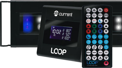 Current Usa Orbit Marine Ic Led Light Black