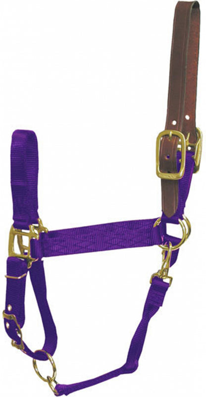 5-883365-purple.jpg