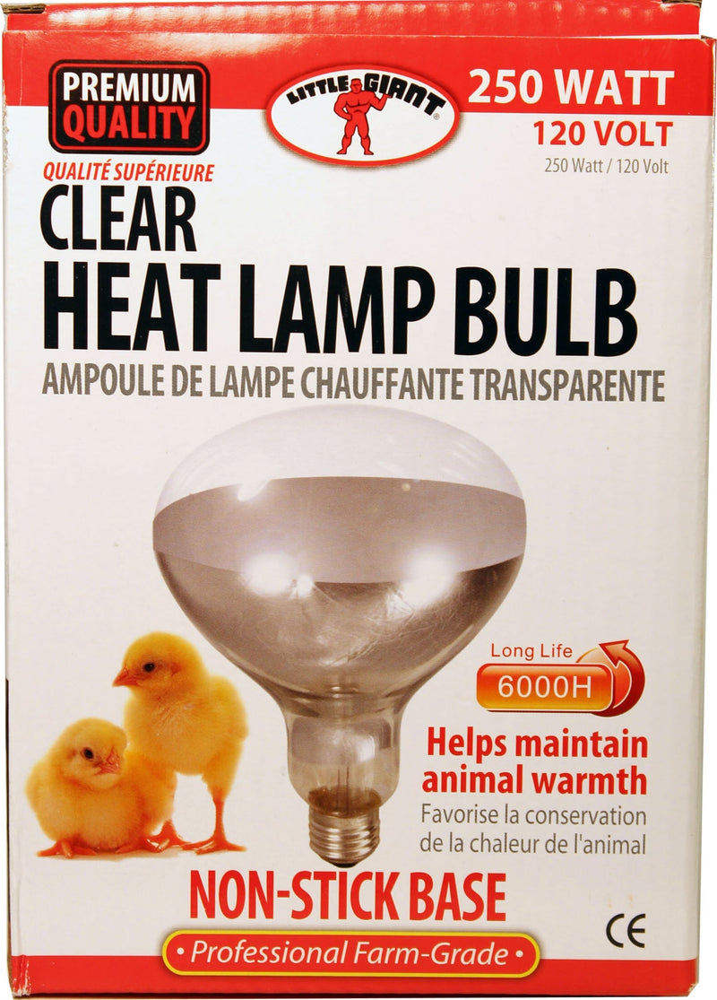 Brooder Clear Heat Lamp Bulb
