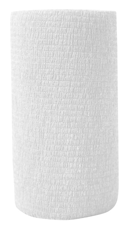 5-890485-white.jpg