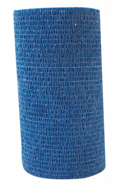 5-890486-blue.jpg