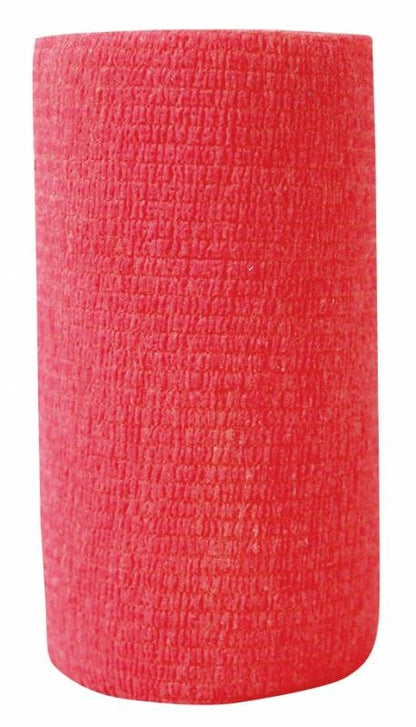 5-890489-red.jpg