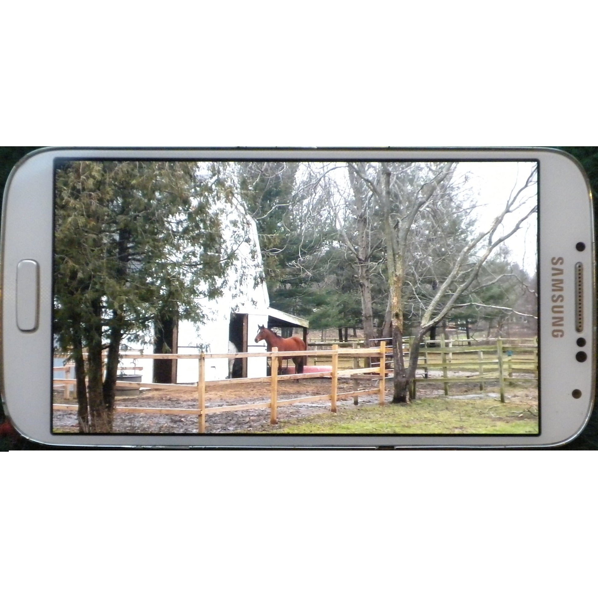 Trailer Eyes WiFi Indoor Barn Cam Princess Leia