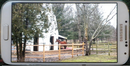 Trailer Eyes WiFi Indoor Barn Cam Princess Leia