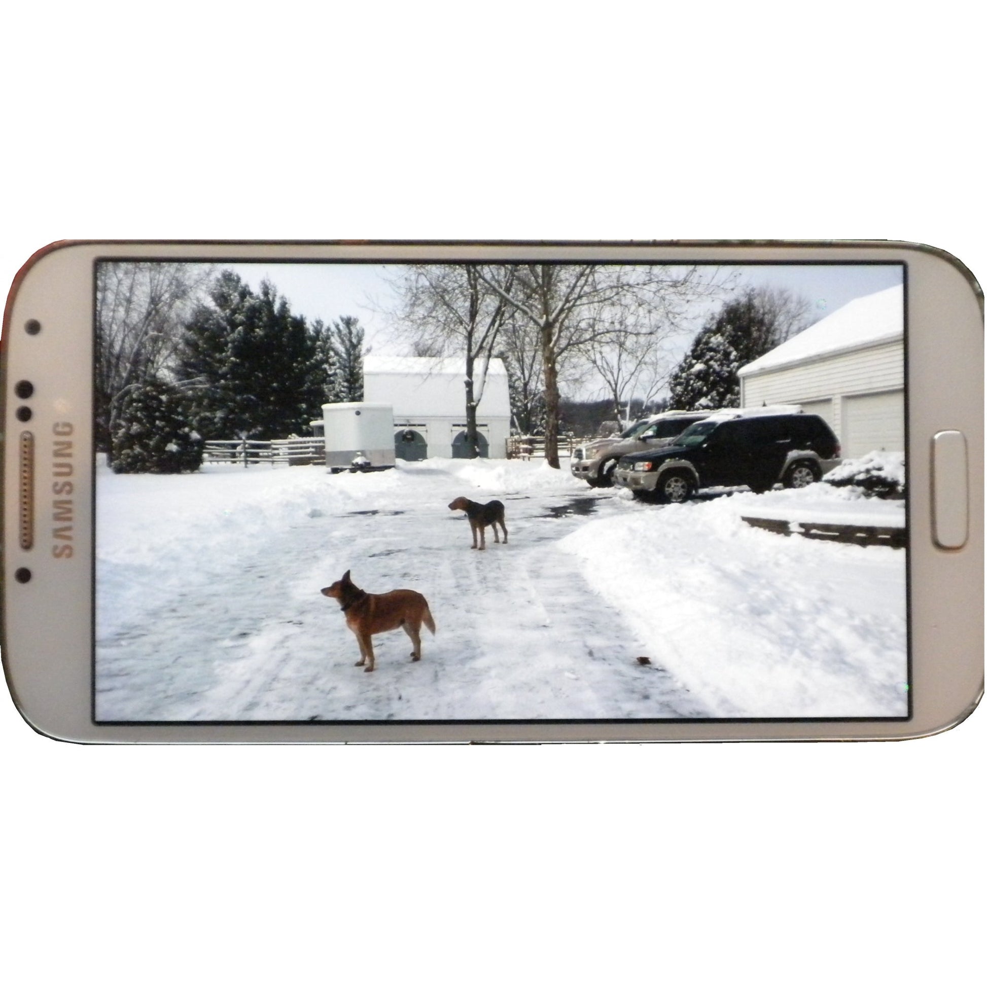 Trailer Eyes WiFi Indoor Barn Cam Princess Leia