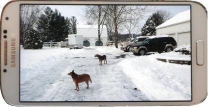 Trailer Eyes WiFi Indoor Barn Cam Princess Leia