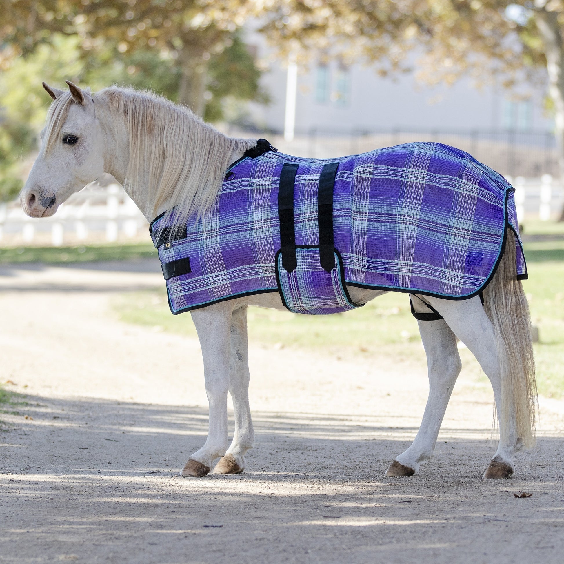 Kensington Protective Sheet Mini
