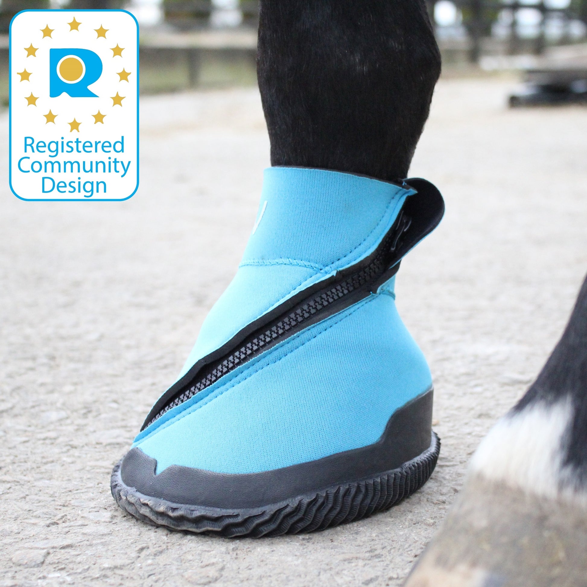 5-925593-bluefrontzip.jpg