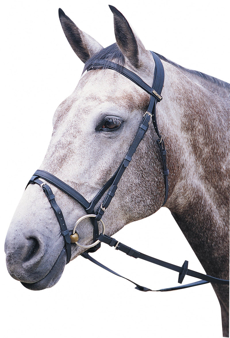 Wintec Bridle with Flash