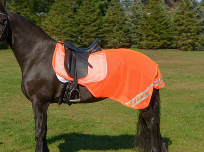 5-926480-orange.jpg