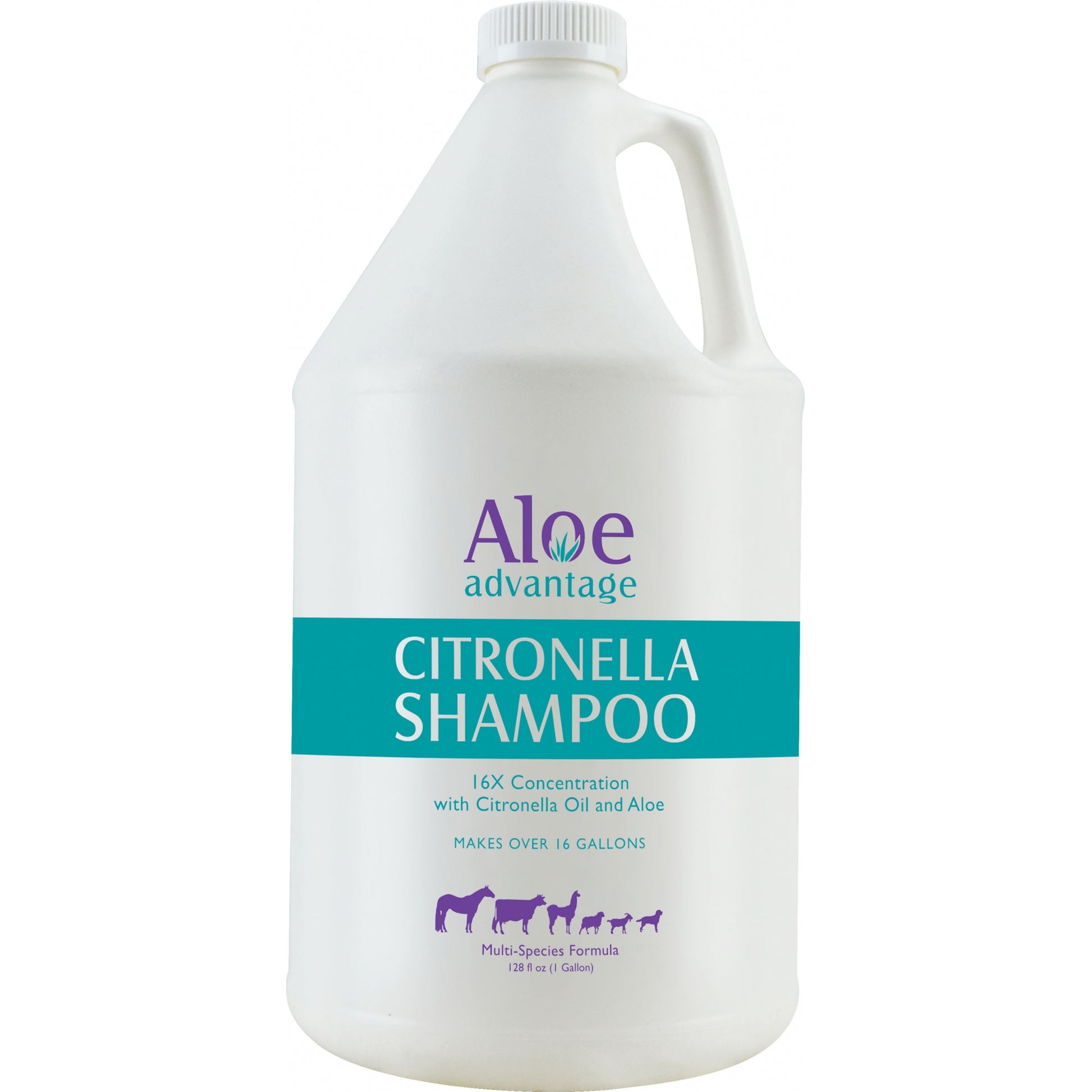 5-931182-1gal.jpg