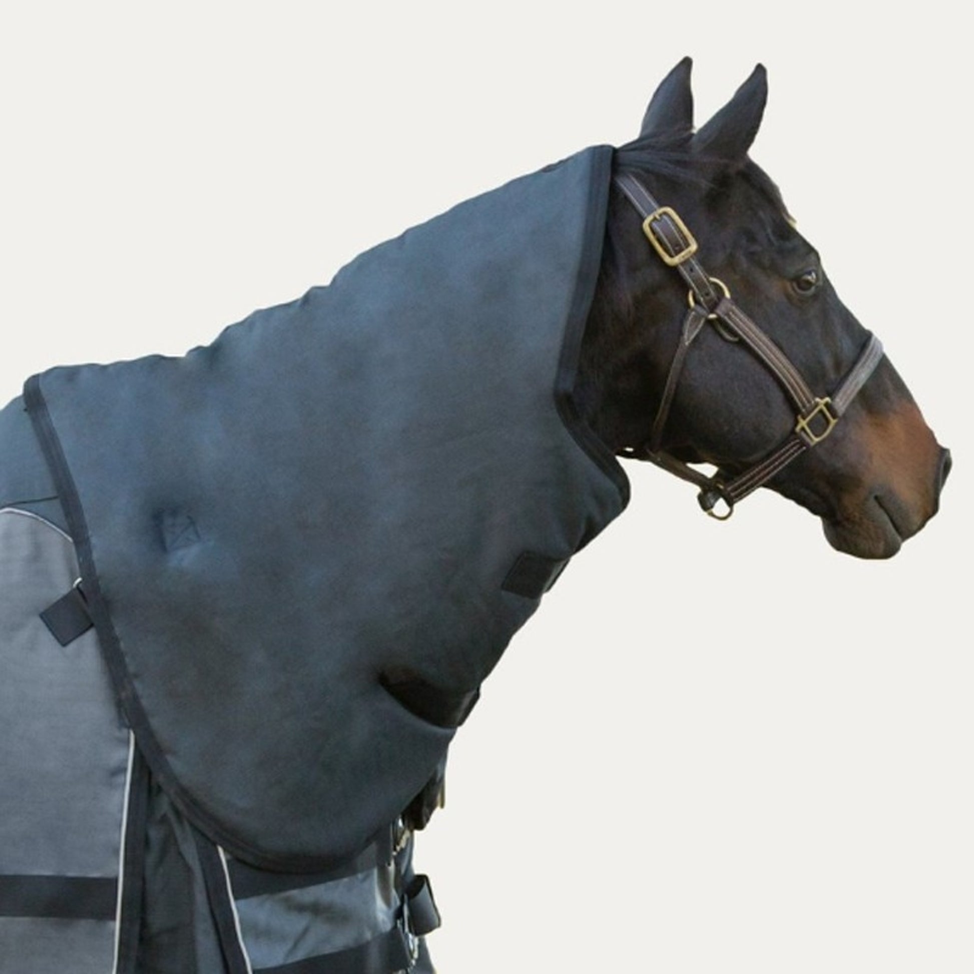 Noble s Guardman Neck Cover Large Blk