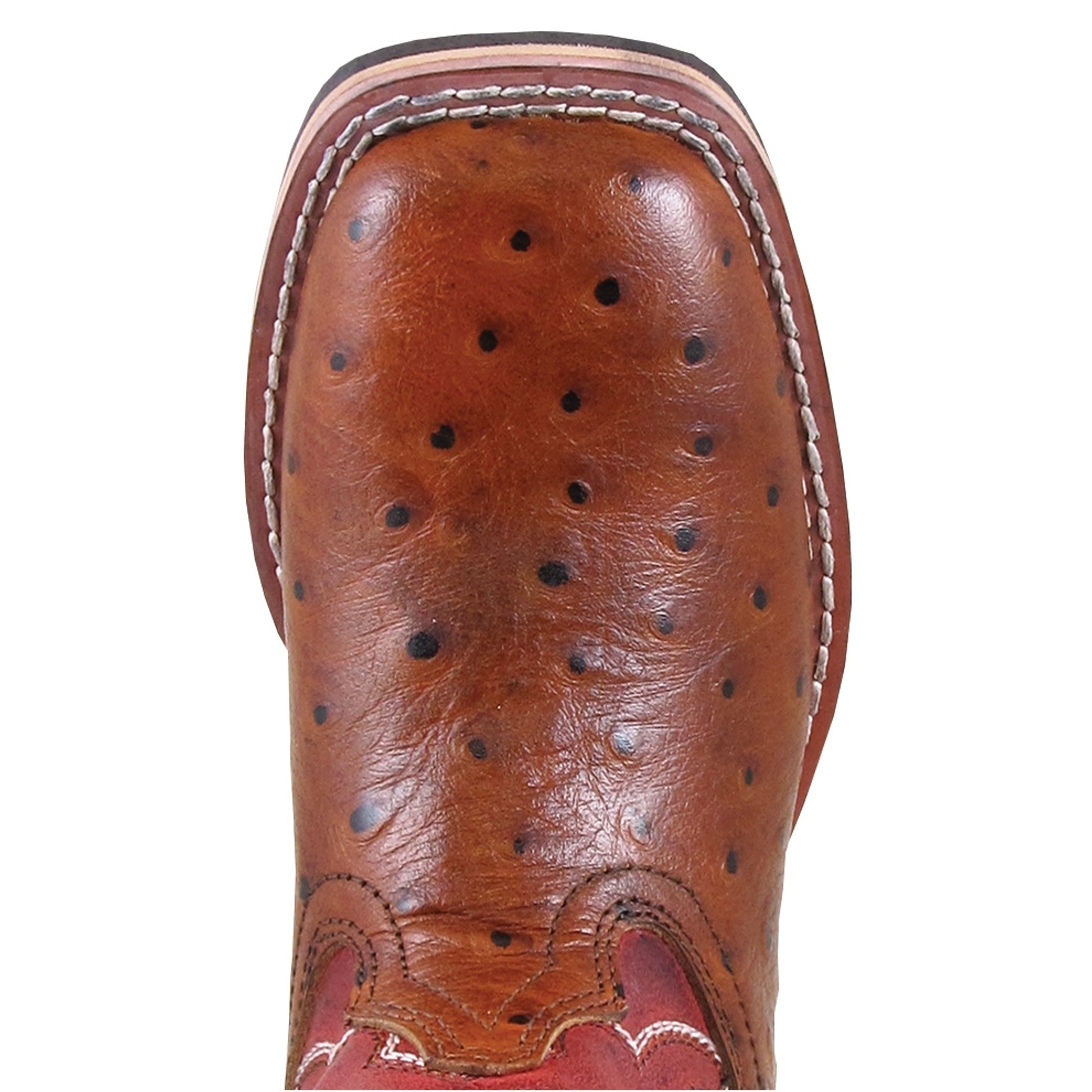 5-934434-toe.jpg