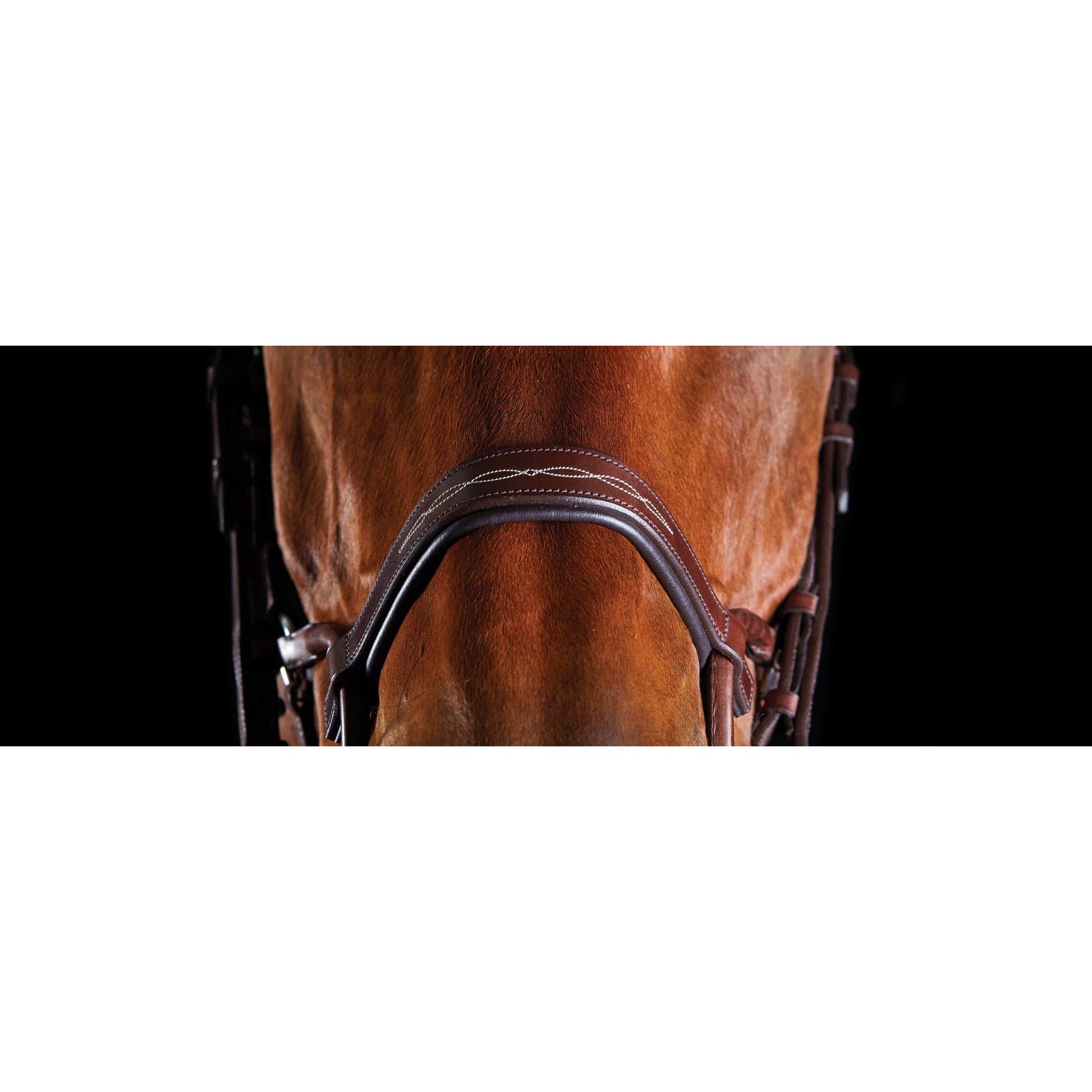 5-939991-nb.jpg