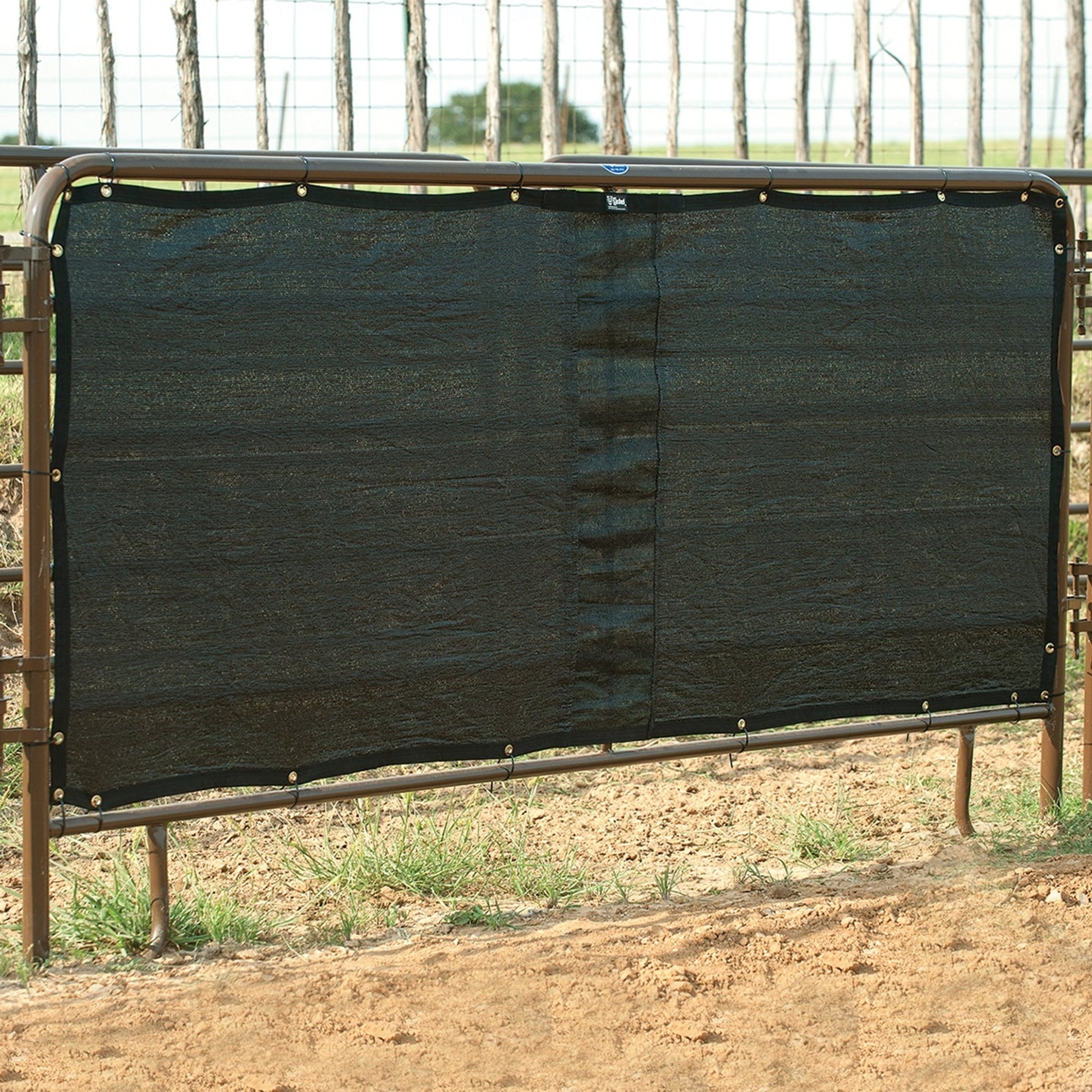 5-945727.jpg