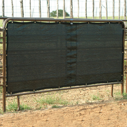 5-945727.jpg