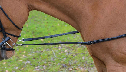 5-950043-whorse.jpg