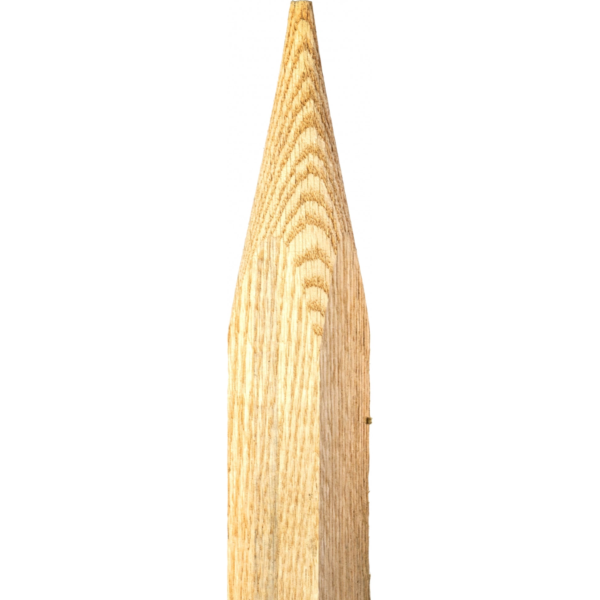 5-966125-1.jpg