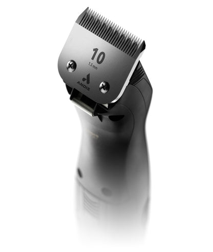 5-966722-d.jpg
