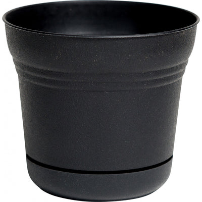 5-967256.jpg