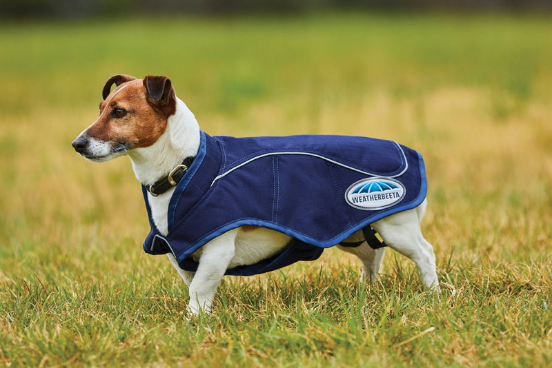 WeatherBeeta 1200D Exercise Dog Coat