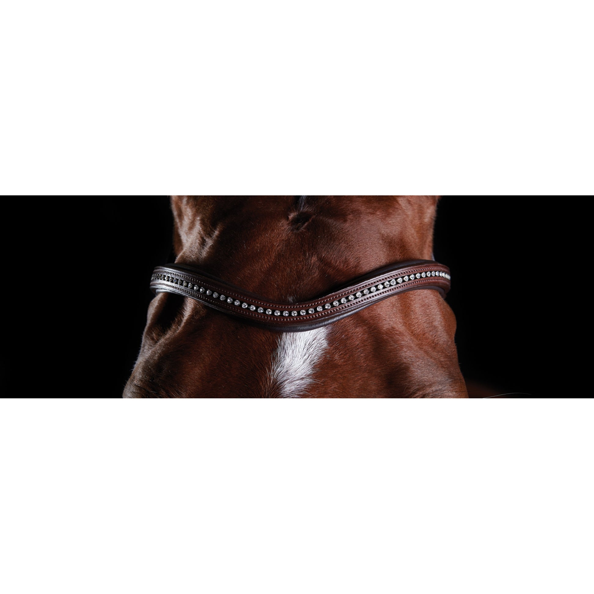 5-970578-brown-bb.jpg