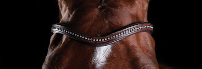 5-970578-brown-bb.jpg
