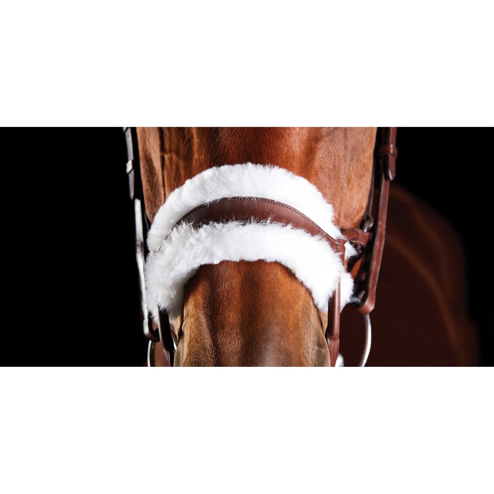 5-970578-brown-nb.jpg