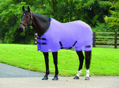 5-972483-purple.jpg