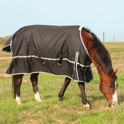 5-976810-black.jpg