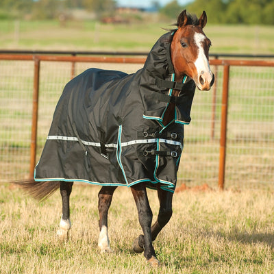 5-976815-black.jpg