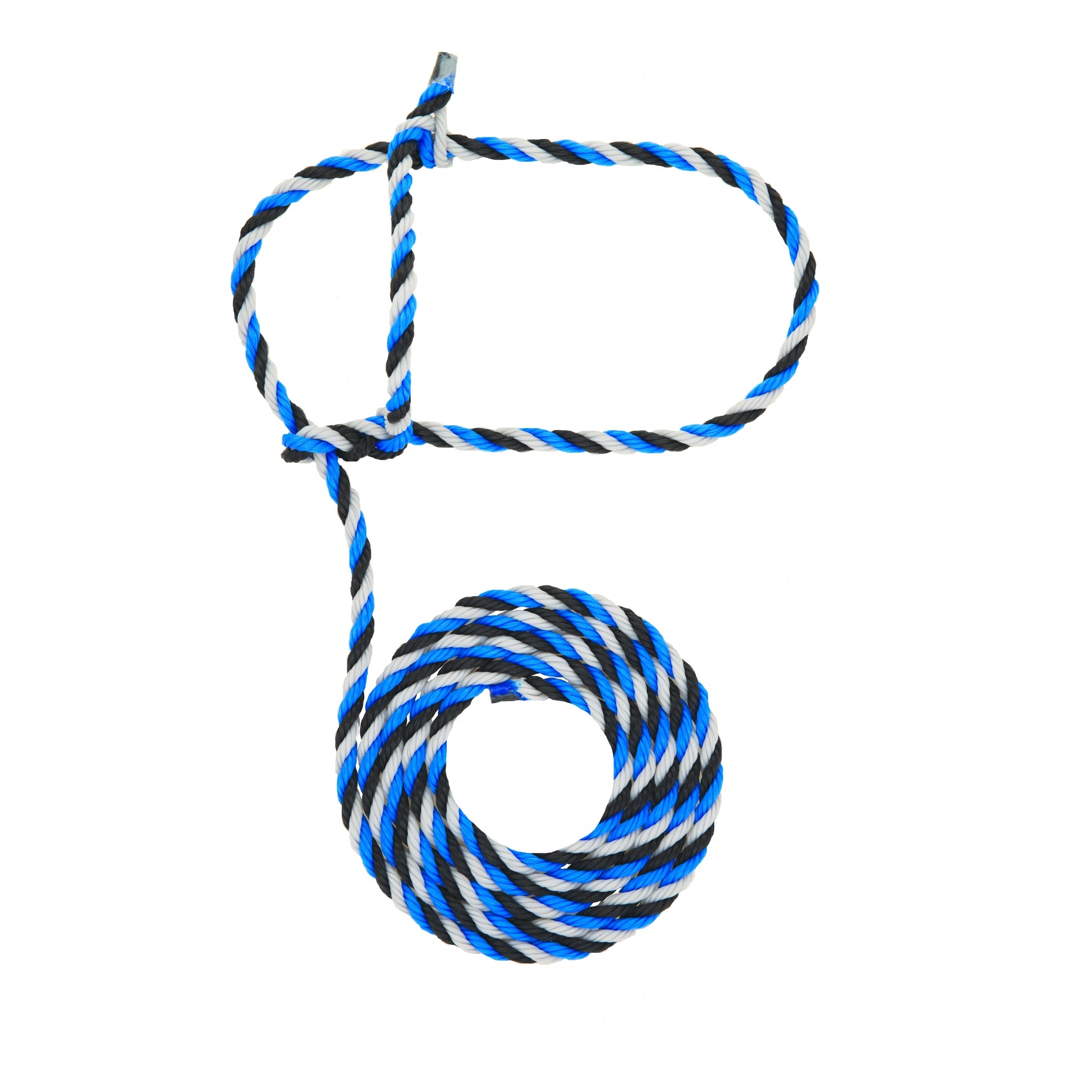 5-977690.jpg