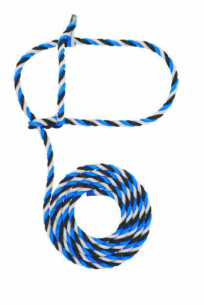 5-977690.jpg