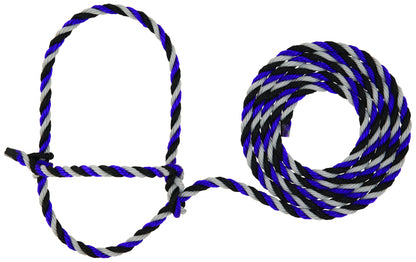 5-977691.jpg