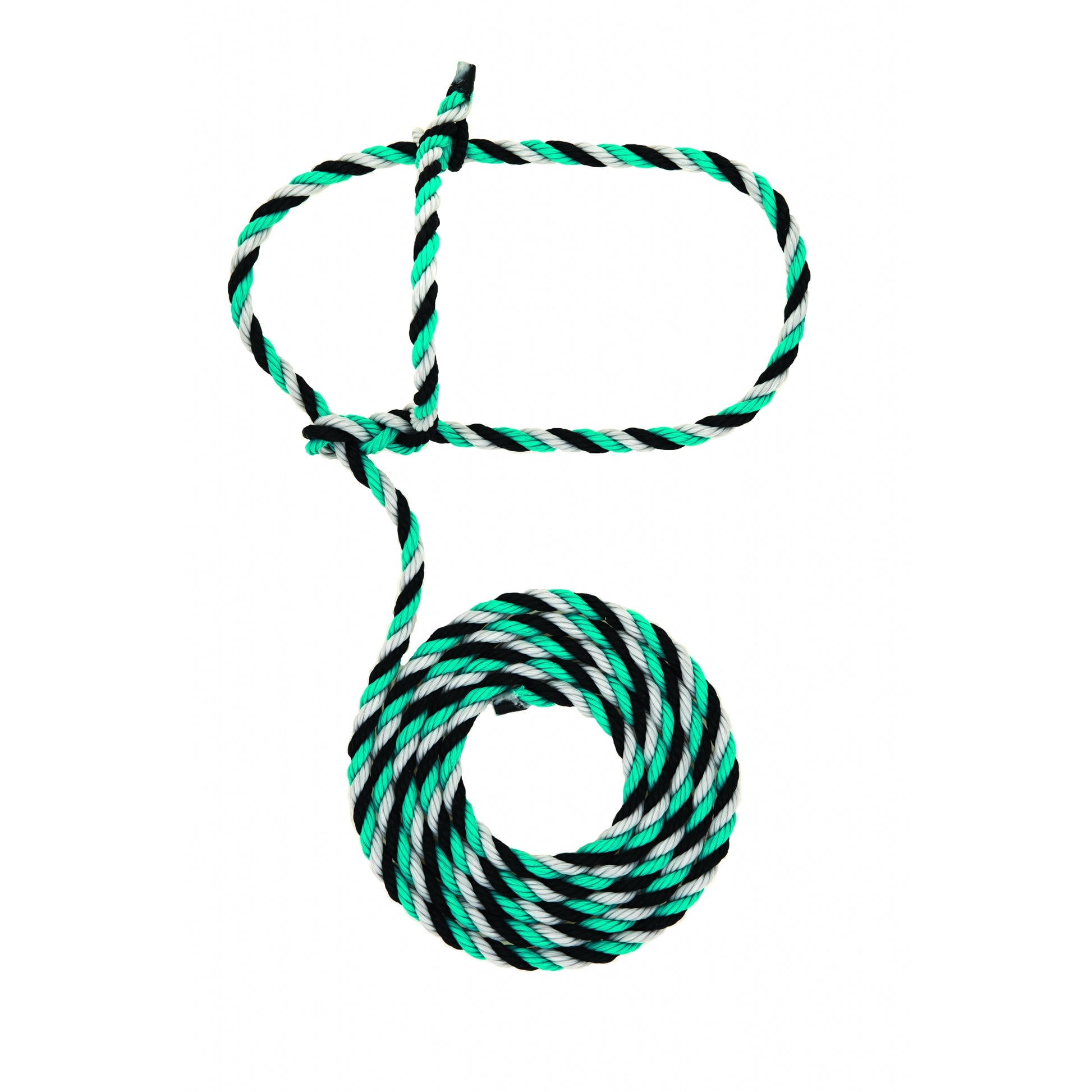 5-977693.jpg