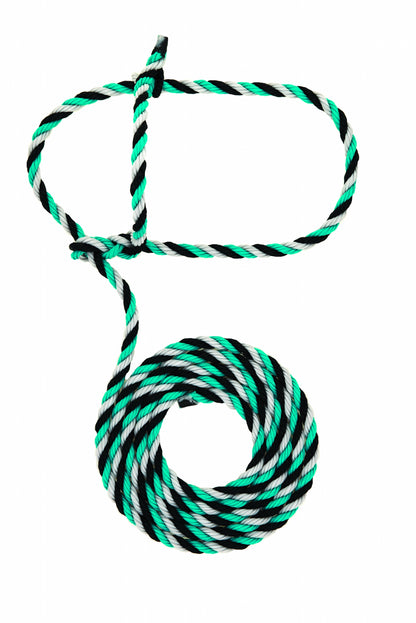 5-977693.jpg