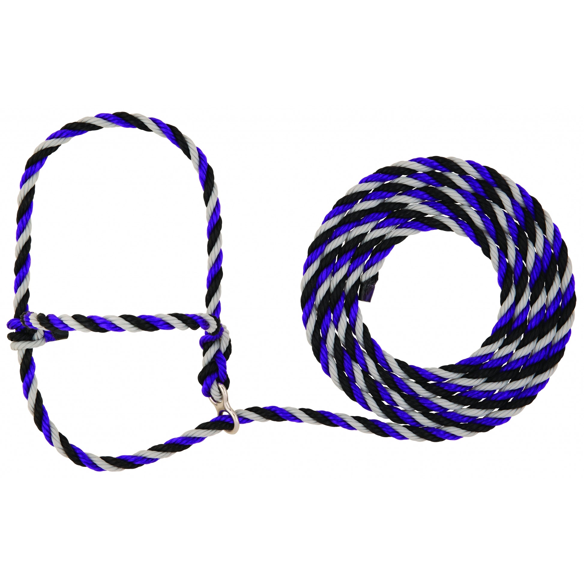 5-977700.jpg