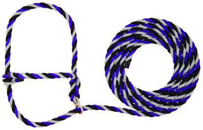 5-977700.jpg