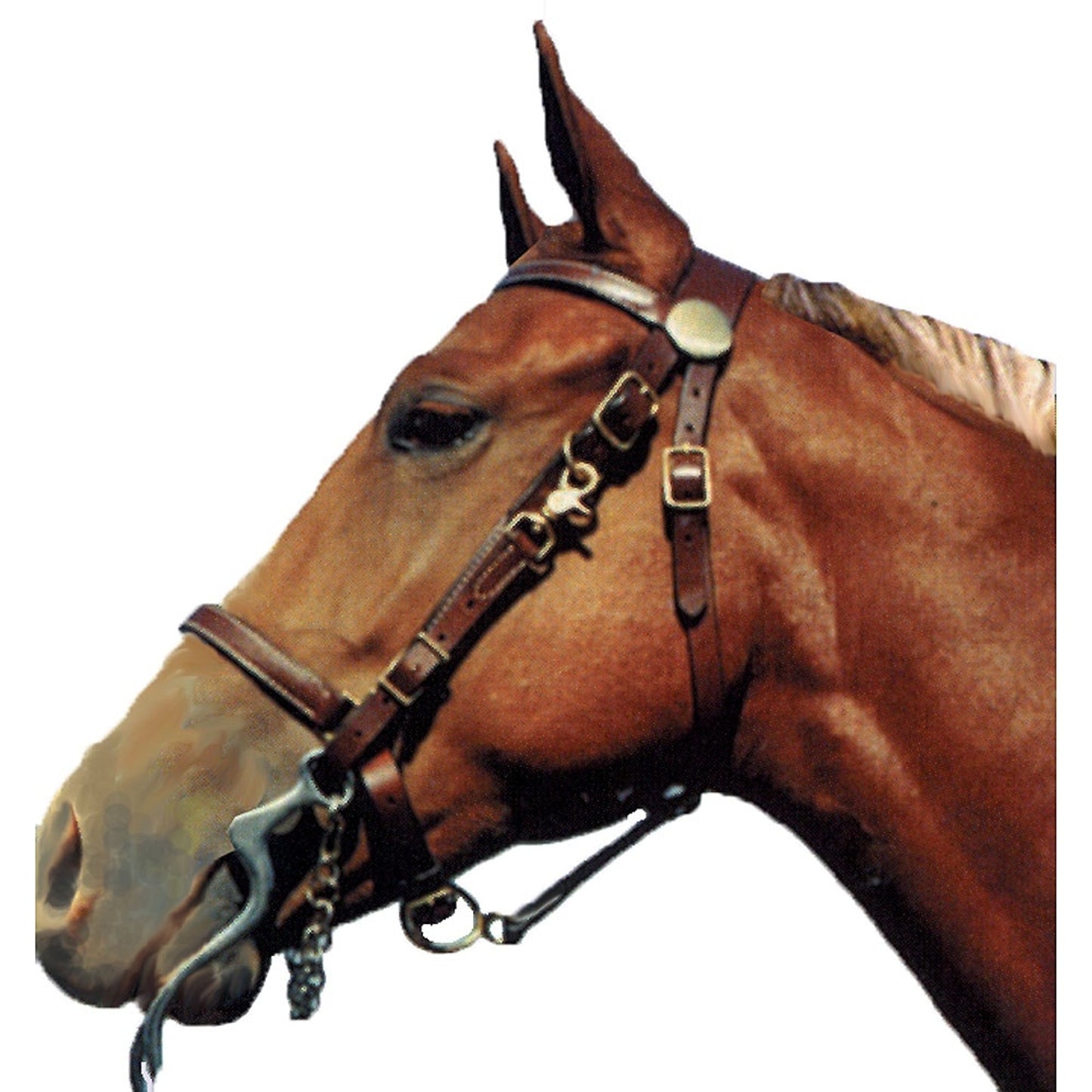 5-978485-brown-edit.jpg